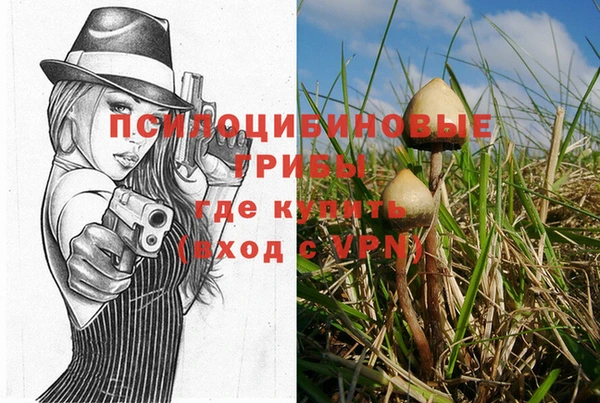 прущая мука Армянск