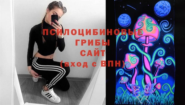 эйфоретик Арсеньев