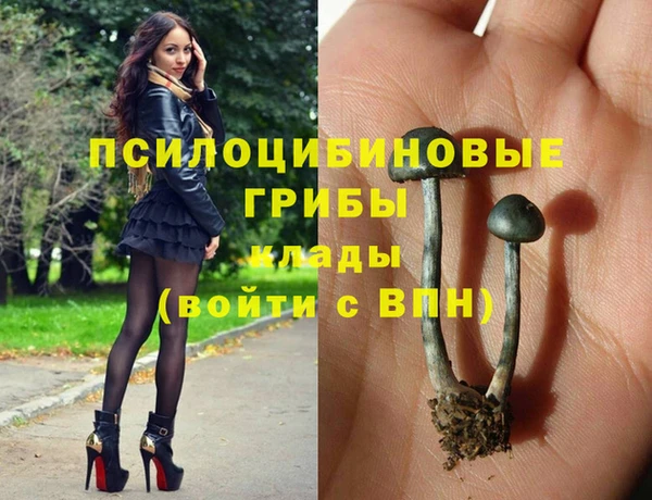 марки lsd Алексеевка