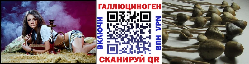 Галлюциногенные грибы Magic Shrooms  как найти закладки  ОМГ ОМГ как зайти  Олонец 