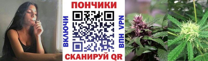 наркотики Олонец Шишки марихуана THC 21%